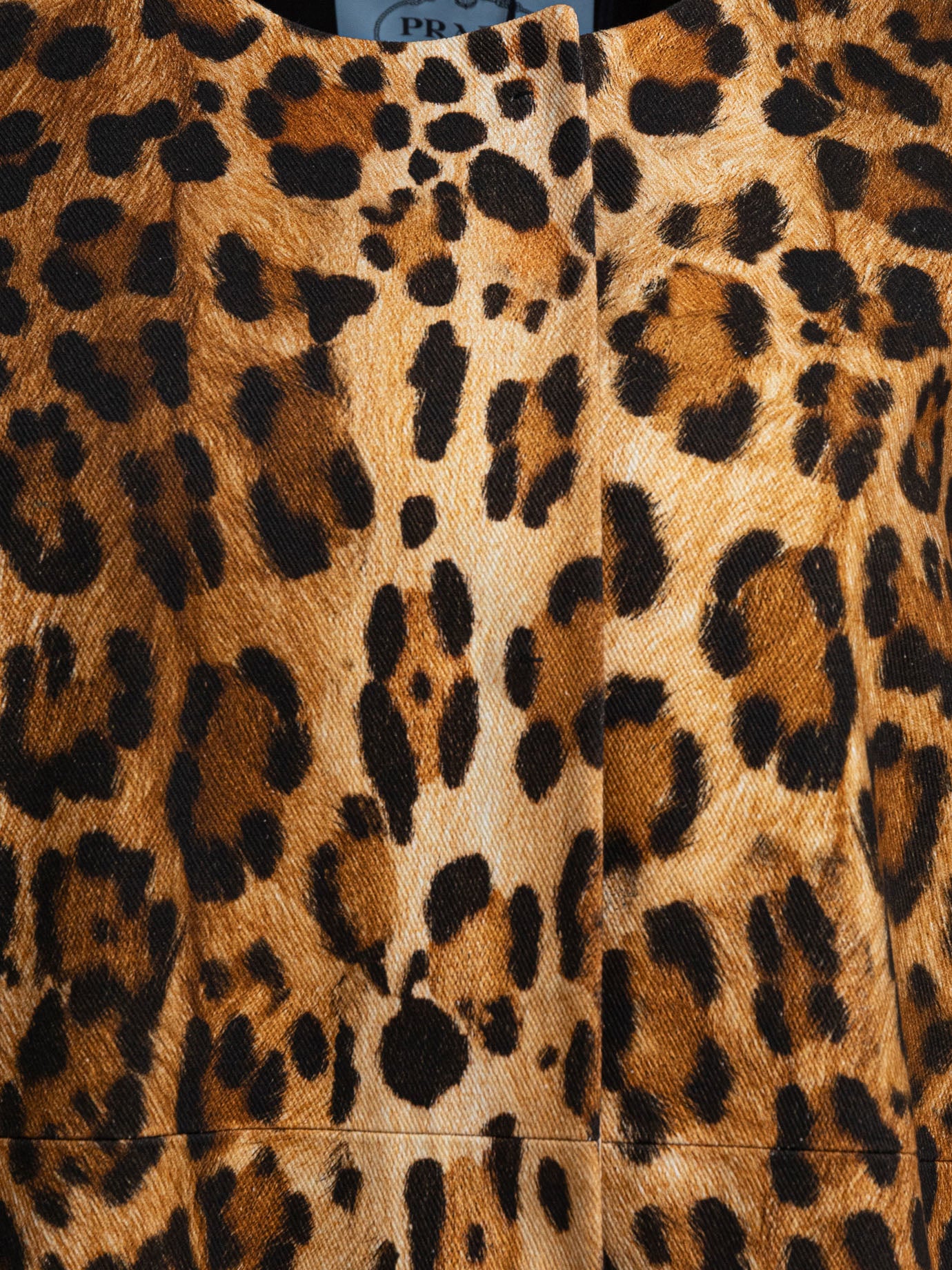 Long coats Animal print  Brown - Prada Women | PDP | VIETTI Online Store | thumbnail_3
