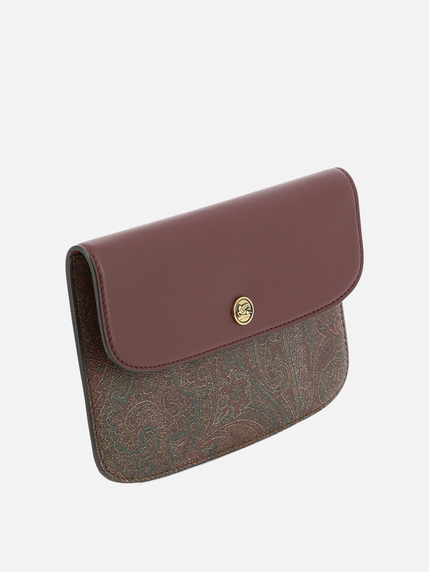 "Paisley" document case