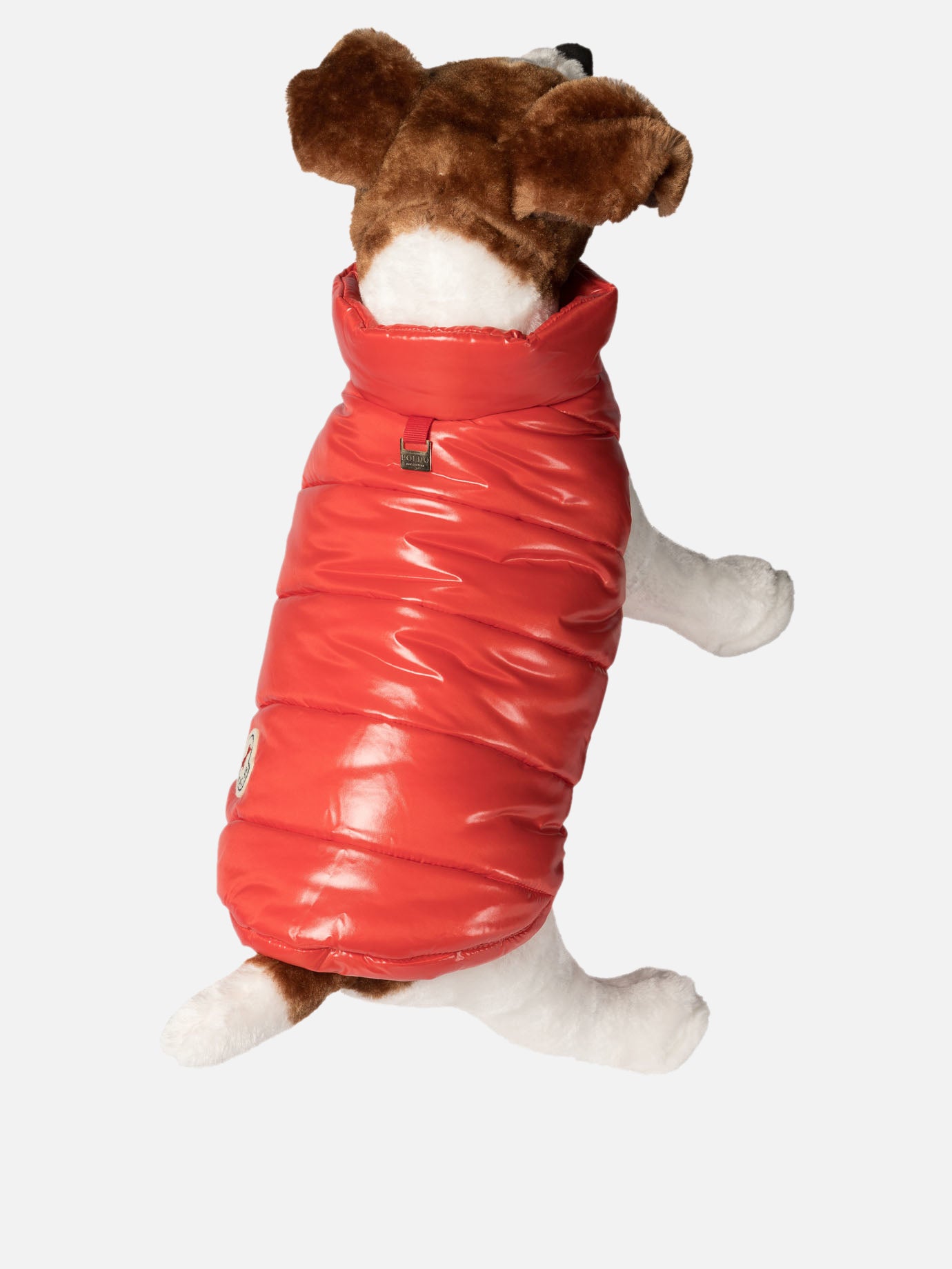 Dog vest