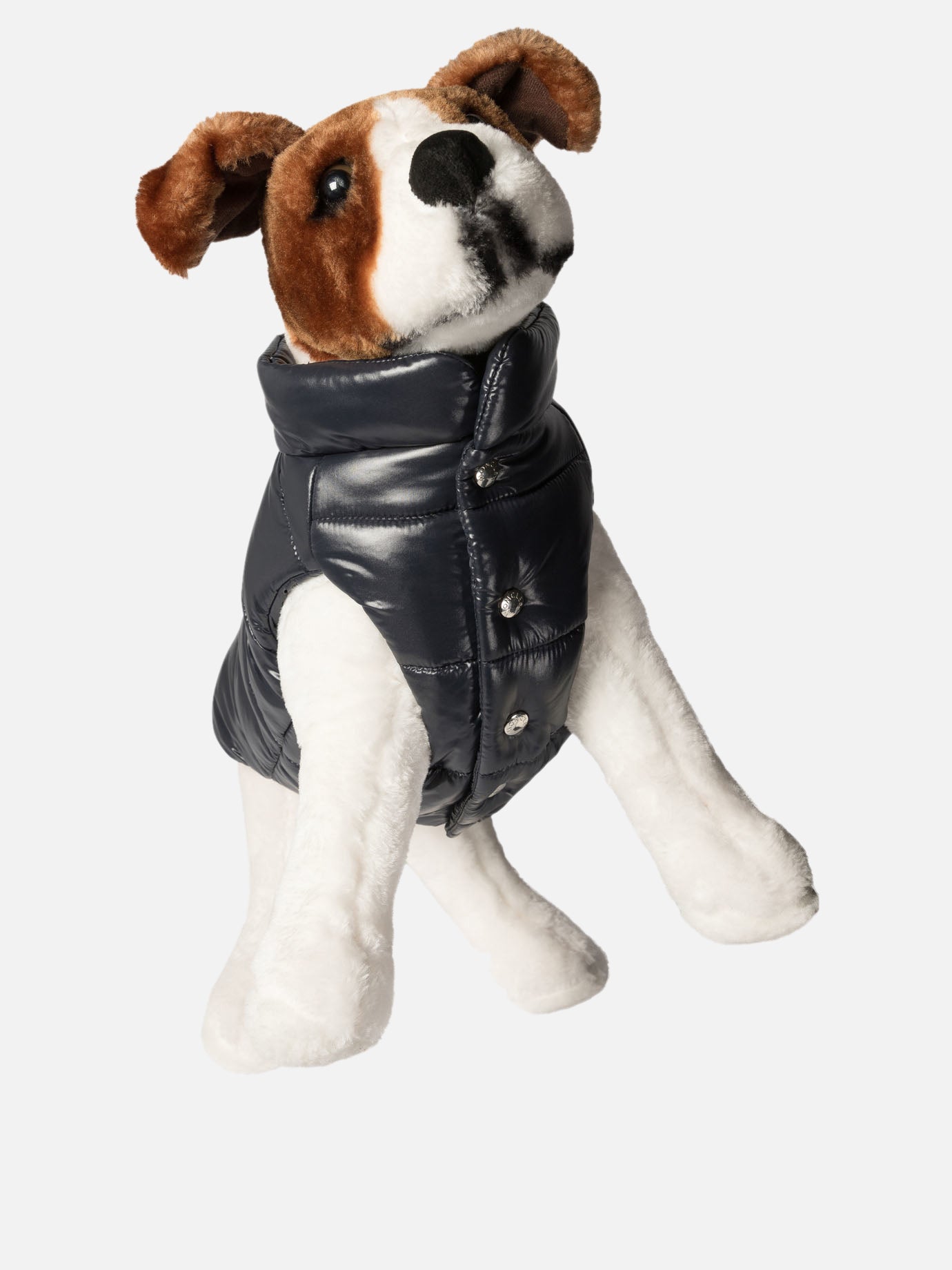 Dog vest