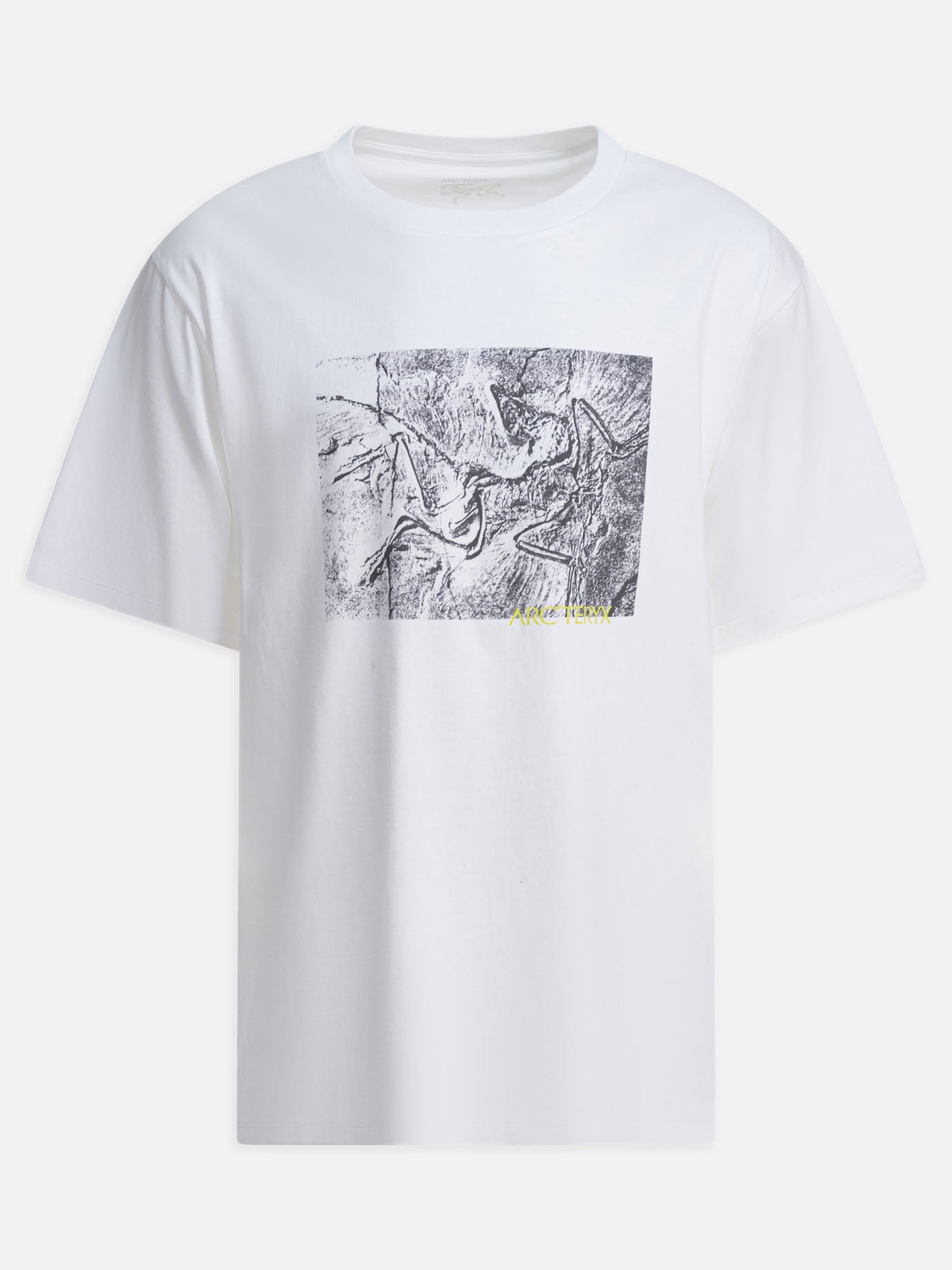 Crewneck t-shirts Graphics  White - Arc&#39;teryx Men | PDP | VIETTI Online Store | thumbnail