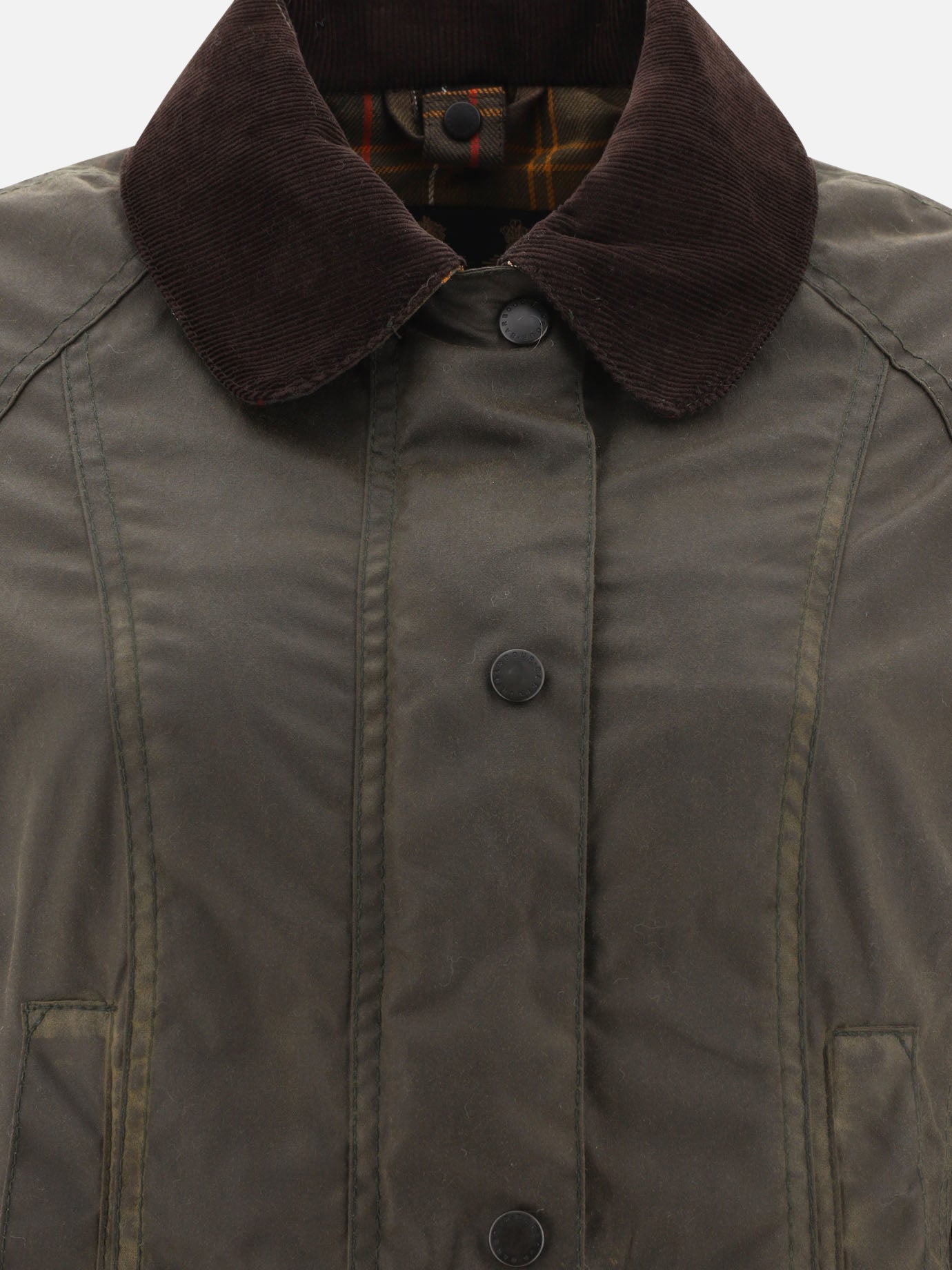 Quilted & Utility Jackets Solid colour  Green - Barbour Women | PDP | VIETTI Online Store | Zoom-Modal_3
