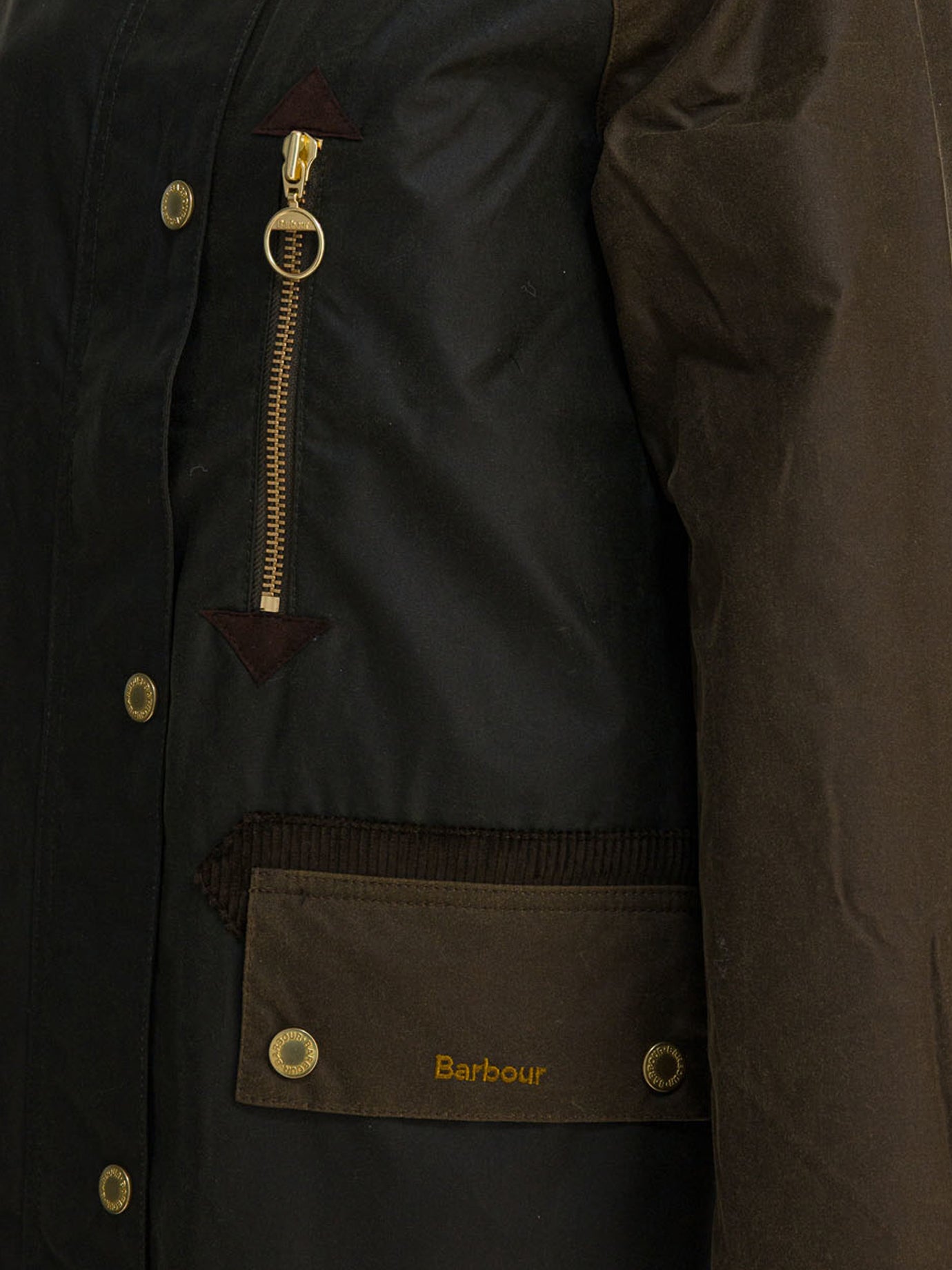 Raincoats & Trench coats Logo  Green - Barbour Women | PDP | VIETTI Online Store | Zoom-Modal_4
