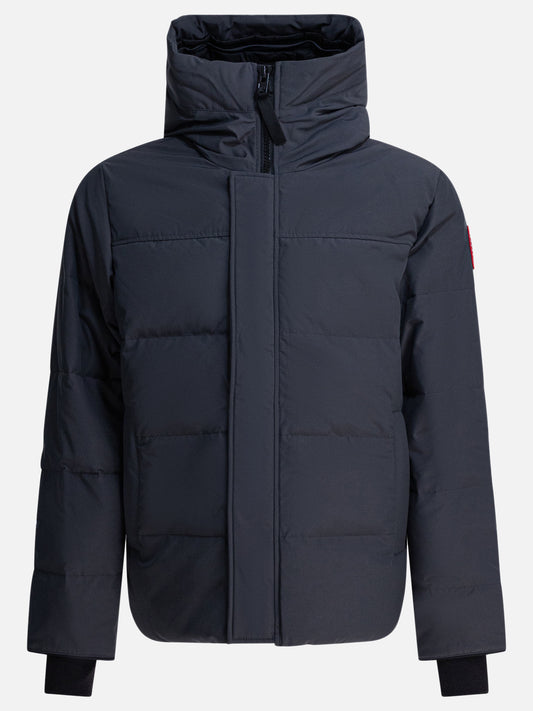 Down jackets Logo  Grey - Canada Goose Men | PLP | VIETTI Online Store 
